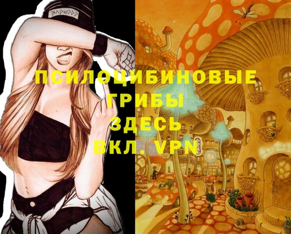 PSILOCYBIN Армянск