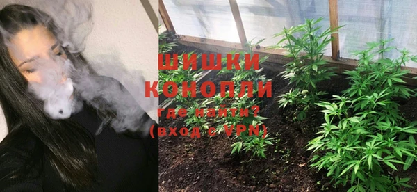 прущий лед Каменка